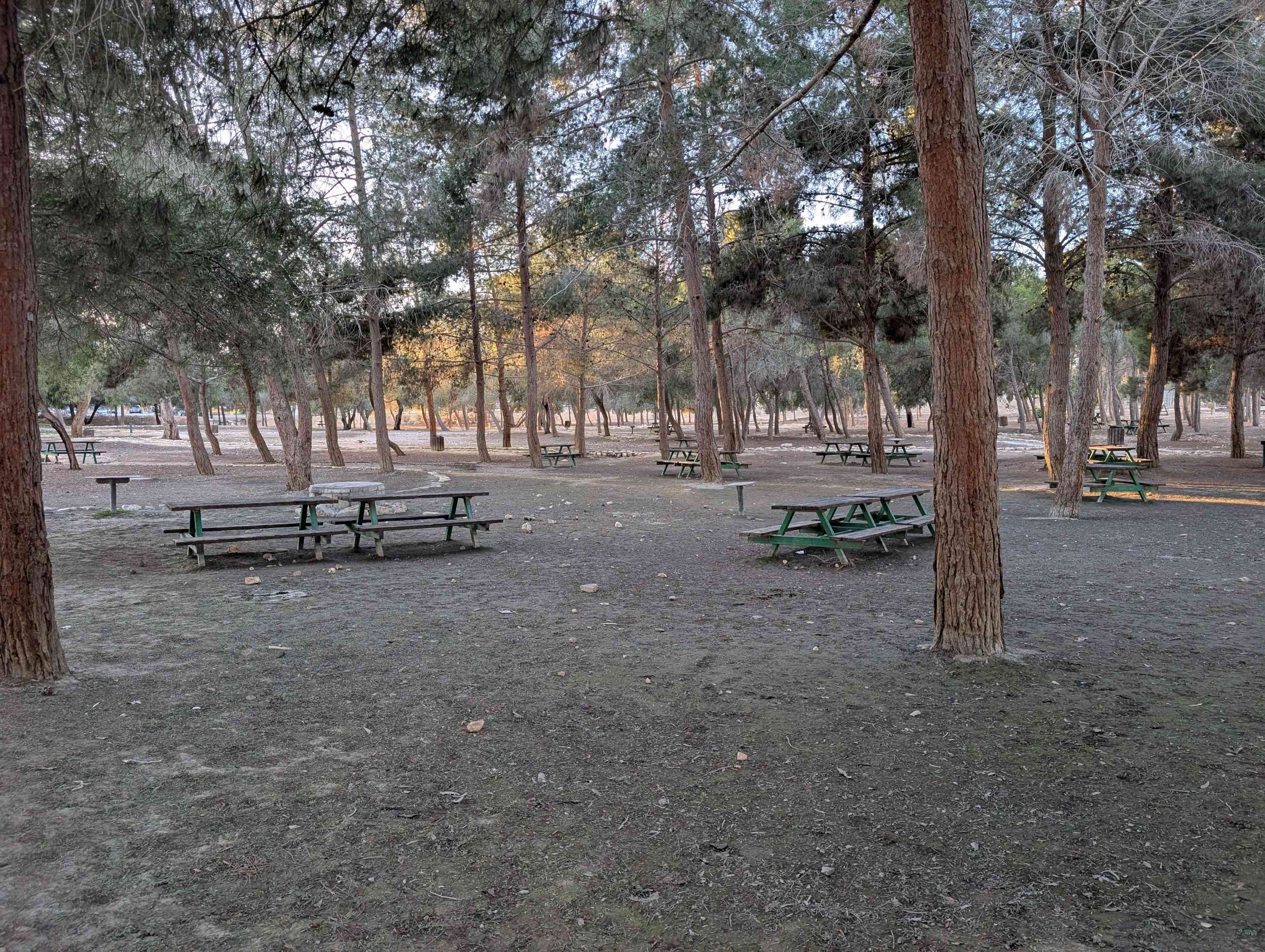 Mitzpe Ramon Grove 1